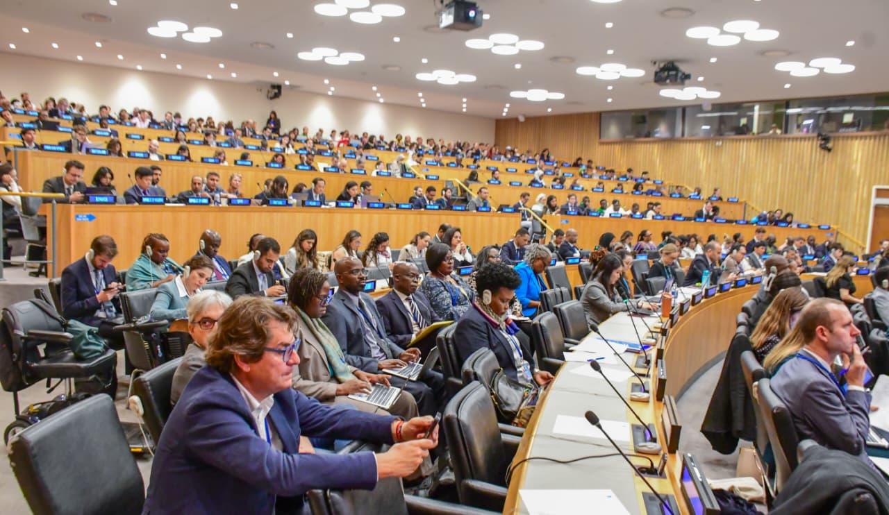 DIASPORA AFFAIRS AT THE SECOND INTERNATIONAL MIGRATION REVIEW FORUM-IMRF